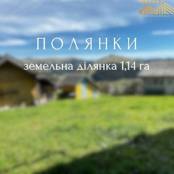 С. Полянки. Господарство на земельній ділянці площею 1,0га.