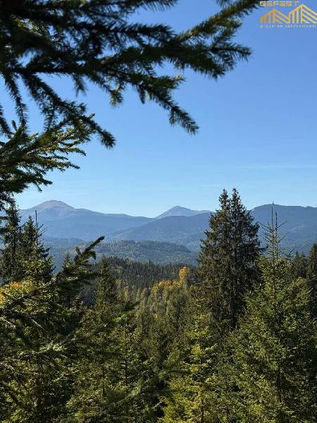 С. Кривопілля (Говерла, Петрос). Земельна ділянка площею 40 сотих.