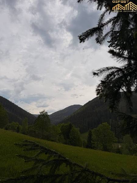 С. Волова. Земельна ділянка площею 2,25га.